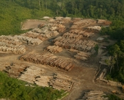 degradacao-florestal-no-brasil-14