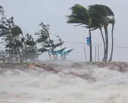 Desastres Naturais na Oceania (4)