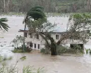 Desastres Naturais na Oceania (7)