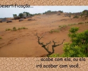 desertificacao-no-brasil-caracteristicas-gerais-3