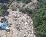 desflorestamento-e-uma-causa-do-aumento-da-extincao-9