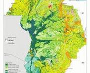 desinformacao-cobertura-florestal-brasileia-6
