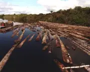 desmatamentos-na-amazonia-11