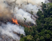 Man made forest fires near the BR 163 road and the Flona do Trairao (Trairao National Forest). West of Itaituba National Forest.
Daniel Beltra/Greenpeace