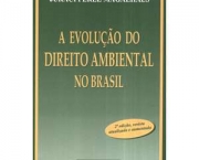 direito-ambiental-no-brasil-1