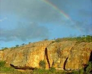 direito-ambiental-no-brasil-14