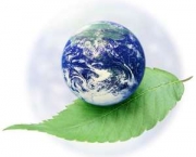 direito-ambiental-no-brasil-8