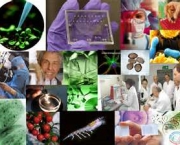 curiosidades-da-biotecnologia-a-tecnologia-da-biologia-4