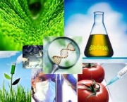 curiosidades-da-biotecnologia-a-tecnologia-da-biologia-9