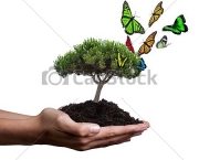 ecologia-e-desenvolvimento-sustentavel-6