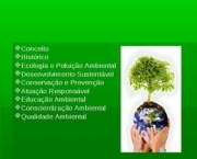 ecologia-e-poluicao-14
