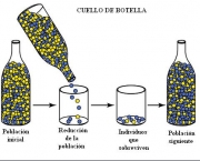 ecotipo-racas-diferentes-de-uma-mesma-especie-4