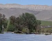 energia-solar-na-irrigacao-de-plantacao-de-uvas-9