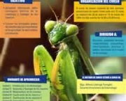 entomologia-a-ciencia-dos-insetos-3