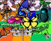 entomologia-a-ciencia-dos-insetos-5