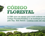 erros-e-acertos-do-codigo-florestal-3