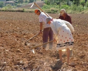 estrutura-fundiaria-do-brasil-11