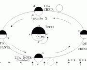 fases-da-lua-caracteristicas-gerais-6
