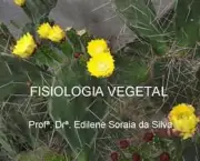 fisiologia-vegetal-caracteristicas-gerais-8