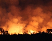 florestas-prejudicadas-por-queimadas-9