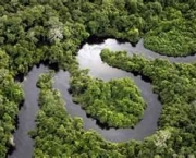 florestas-tropicais-e-equatoriais-assistencia-norueguesa-e-bioma-mundial-11