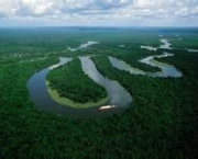 florestas-tropicais-e-equatoriais-assistencia-norueguesa-e-bioma-mundial-2