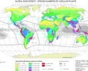 florestas-tropicais-e-equatoriais-assistencia-norueguesa-e-bioma-mundial-10