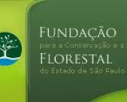fundacao-florestal-11
