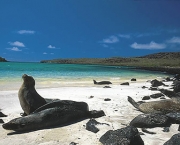 galapagos-ilha-maravilhosa-6