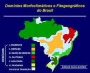 geografia-fisica-do-brasil-3