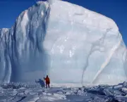 Icebergs (7)