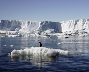 Idéias Para Resfriar o Mundo (3)