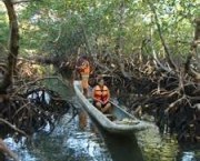 impactos-ambientais-dos-manguezais-17
