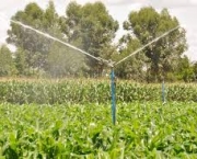 importancia-da-irrigacao-no-desenvolvimento-do-agronegocio-1