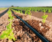 importancia-da-irrigacao-no-desenvolvimento-do-agronegocio-3