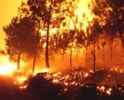 incendio-florestal-9