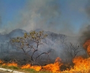 Incêndio no Parque Nacional da Chapada dos Veadeiros (7)
