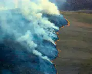 Incêndio no Parque Nacional da Chapada dos Veadeiros (8)