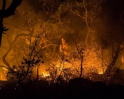 Incêndio no Parque Nacional da Chapada dos Veadeiros (11)