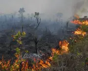 Incêndio no Parque Nacional da Chapada dos Veadeiros (13)