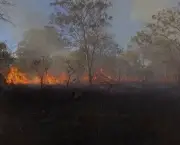 Incêndio no Parque Nacional da Chapada dos Veadeiros (14)