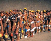 indios-amazonia-02