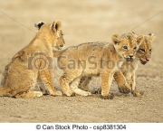 leoes-do-deserto-na-namibia-kunene-5