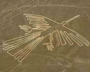 Linhas de Nazca (4)