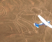 Linhas de Nazca (6)