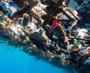 Lixo no Mar do Caribe (1)