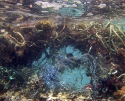 Lixo no Mar do Caribe (2)