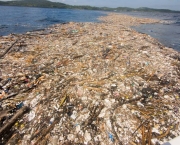 Lixo no Mar do Caribe (3)