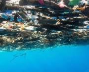 Lixo no Mar do Caribe (5)