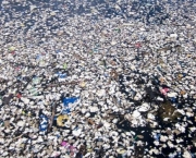 Lixo no Mar do Caribe (7)
